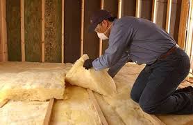 Best Eco-Friendly or Green Insulation Solutions  in Tropical Park, FL